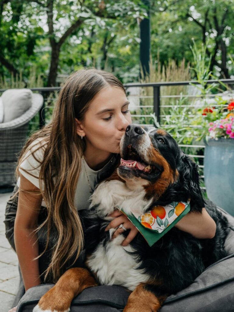 Pet sitter holding a Bernese Mountain dog, who is wearing a bandana and smiling during a dog walking in coffs harbour