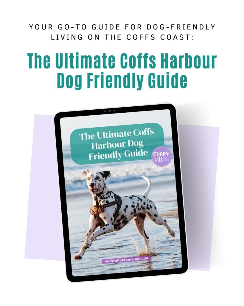 Cover of The Ultimate Coffs Harbour Dog Friendly Guide – featuring a happy dog at the beach and Guide cover