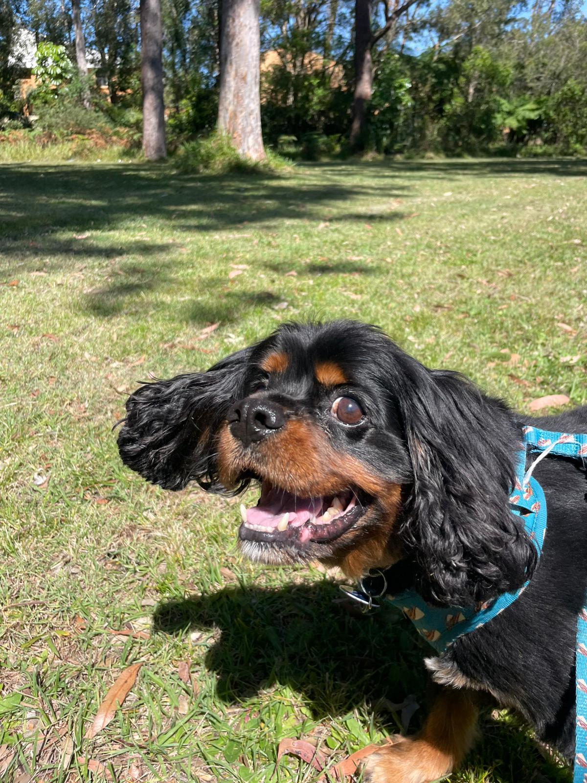 Rachel Nicole, Coffs Harbour, NSW