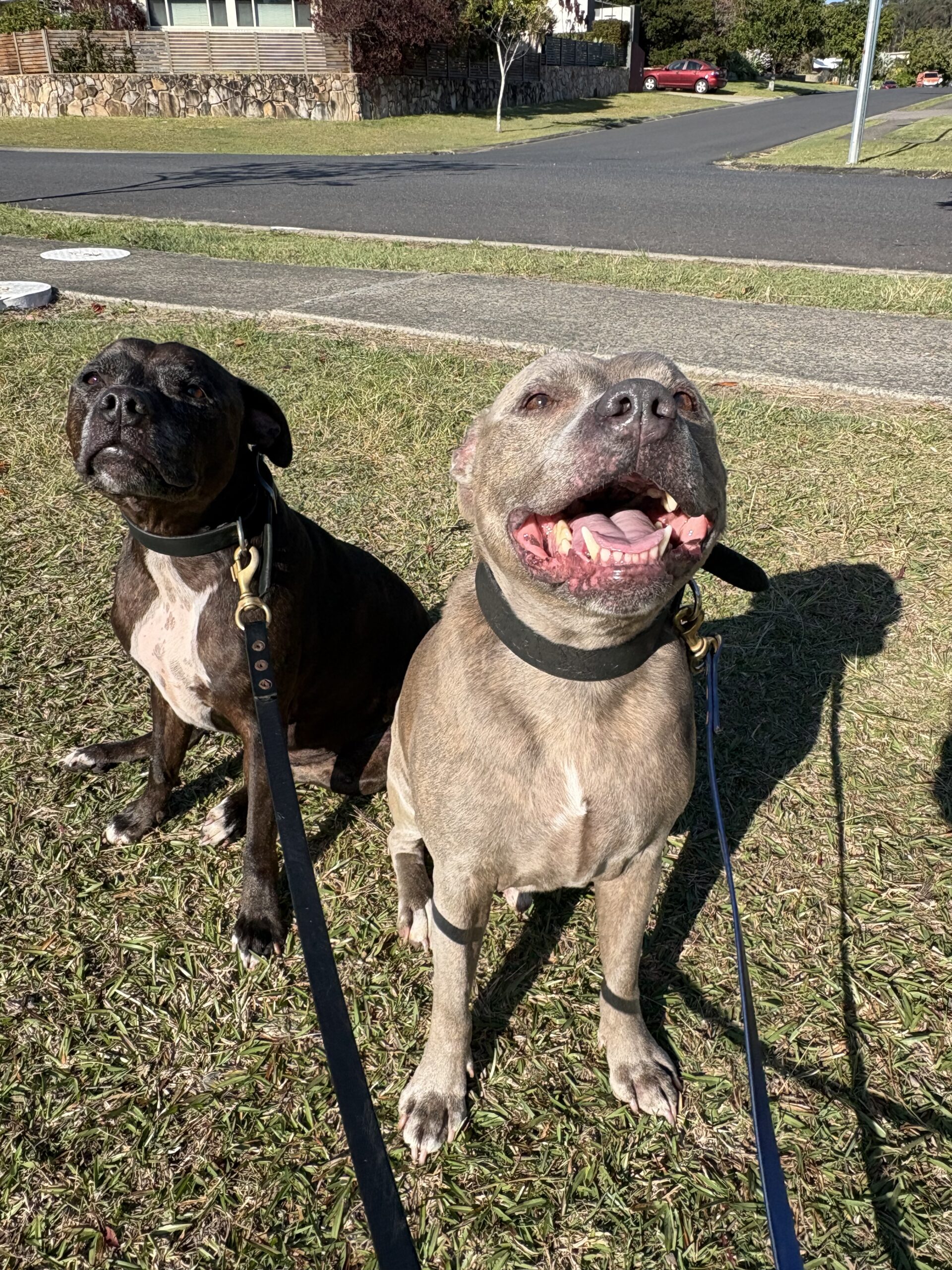 Shellee Crompton, Safety Beach, NSW