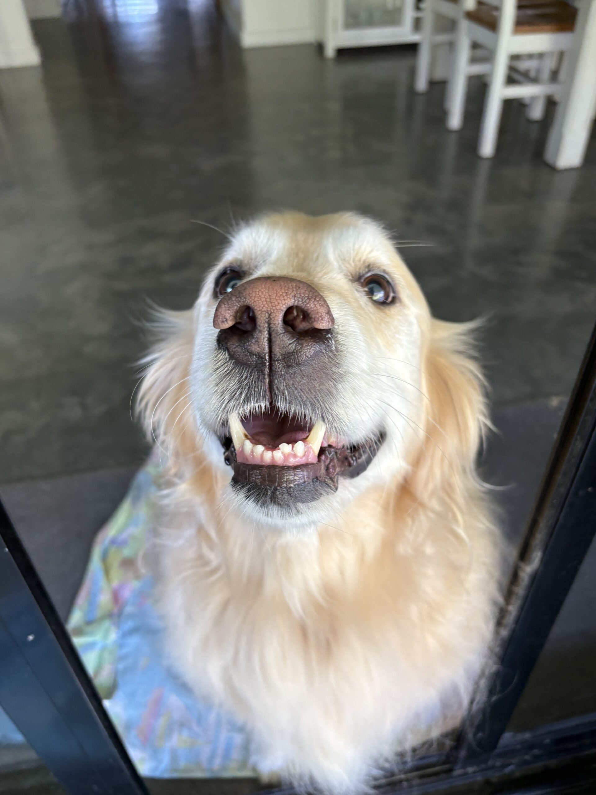 Jen Hoyle, Moonee Beach, NSW