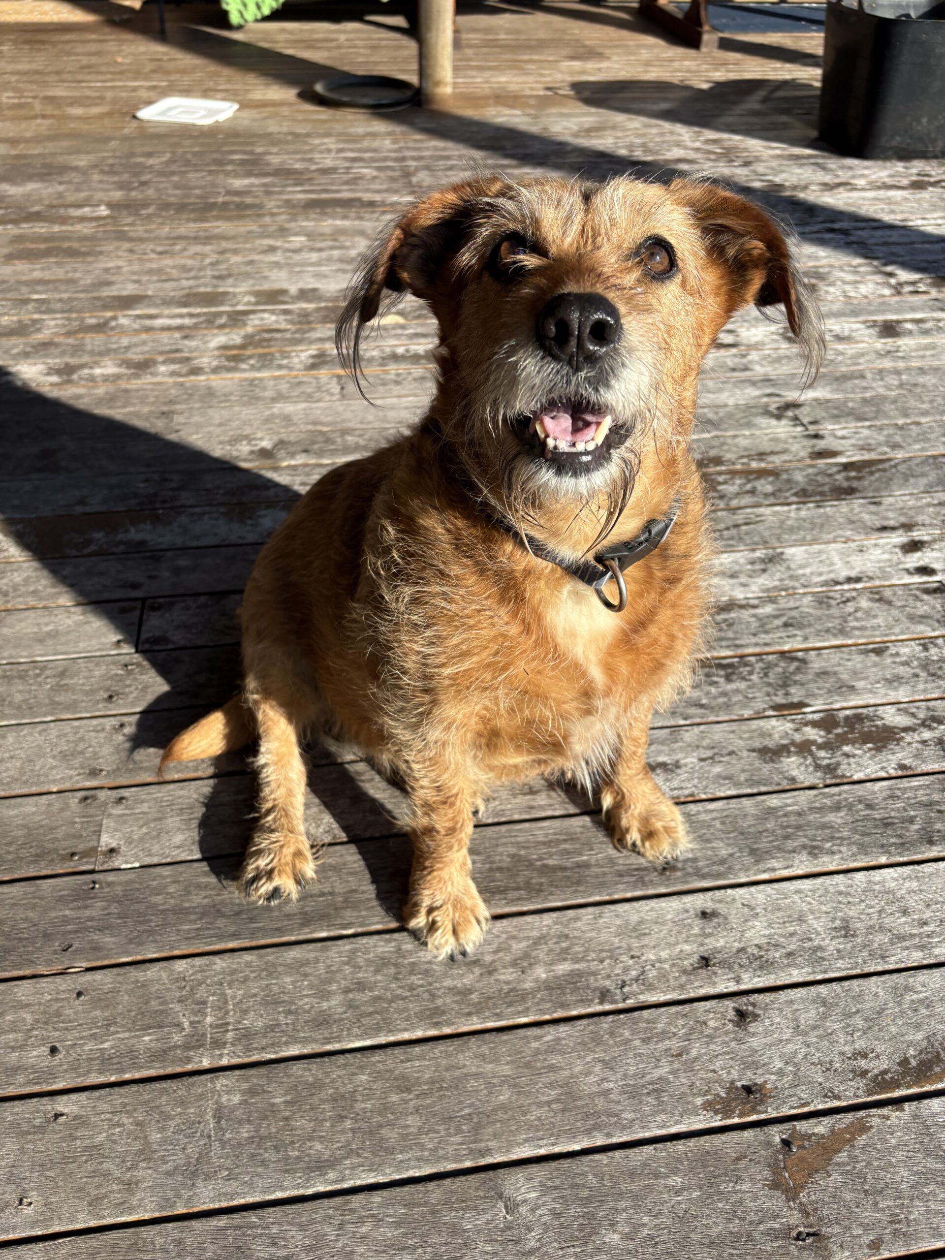 Gail Begbie, Dirty Creek, NSW
