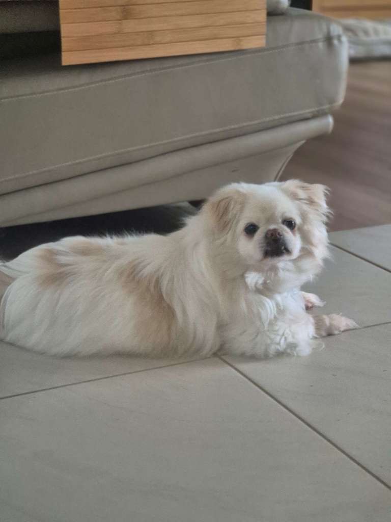 Denise McNeill, Coffs Harbour, NSW